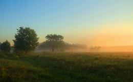 Понедельник / Утро на Немане