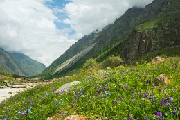 Горы Кавказа. / Ущелье Безенги в КБР.