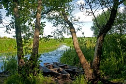 рыбачья гавань / утро, лодки