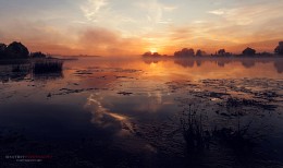 Туманный рассвет. / Туманный расвет на реке Дубна.Московская область,деревня Ратмино.