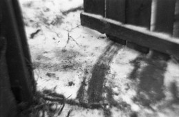 Мечтать не вредно (2 фото) / [img]http://s020.radikal.ru/i706/1507/b2/a316c463a1dc.jpg[/img]