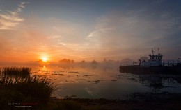 Туманный рассвет на реке Дубна. / Ранним утром на берегу реки Дубна.Московская область,деревня Ратмино.