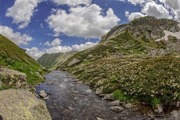 Правый исток реки Малая Дукка (Высота над у.м.2480 м) / Архыз