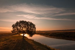Летний рассвет на реке Проня / Чаусский район