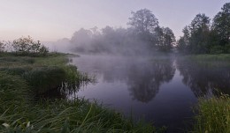 Сиреневый туман / Природа Беларуси