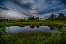 &nbsp; / Мещерский национальный парк