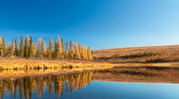 Амгинская осень / ***