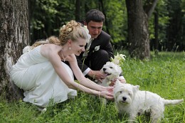 Свадебные фото / Свадебные фото с собачками