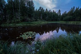 Лесное озеро / Мещера