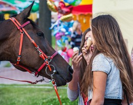 Лошадь и мороженое / ***