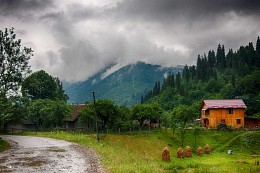 После дождя... / HDR