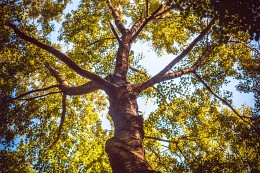 небо над Измайловским парком / небо над Измайловским парком