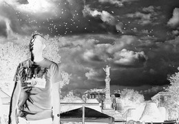 free spirit / диригент