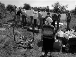 генеалогическое древо / ...