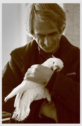 Старый добрый друг / ***