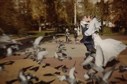 Жених и невеста / ***