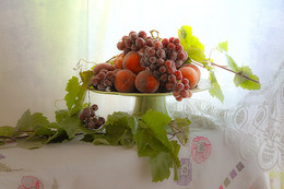 фрукты / виноград и его ветка