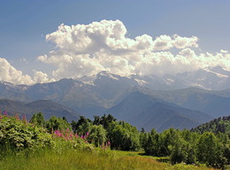 Кавказ / Иван - чай на фоне грузинских гор.