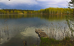 Лесное озеро. / ***