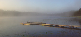Туманное утро / утро, туман, озеро