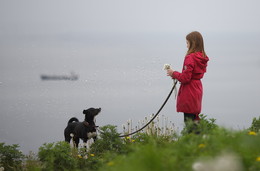 &nbsp; / Девочка с собакой.