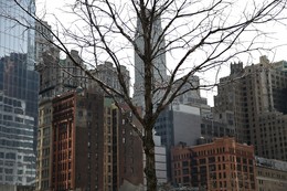  / Когда-то словосочетание "Ground Zero" имело лишь общий смысл - место взрыва какой-либо бомбы, эпицентр какого-либо землетрясения. С 11 сентября 2001 года чаще всего о "Ground Zero" говорят в связи с трагическими событиями того дня.... Есть у "Ground Zero" и буквальное значение: "нулевой уровень" - уровень, с которого начинался Всемирный Торговый Центр и до которого он был уничтожен. Уровень, до которого пожарники и спасатели продолжали расчищать руины в поисках выживших и погибших...
P.S. Эти деревья высажены по кругу мемориала и почти на каждом из них висит жетон с номером погибшего пожарника, полицейского или всего участка.