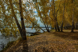 Осень на озере / Осенний берег