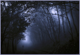 В тумане. / Тумана волшебство, лес в сказку превращает.