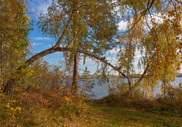 Арка / Осенние кружева