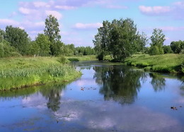 Летний день на Уче. / Река Уча в городе Пушкино Московской области.
