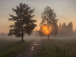 Павловские туманы. / Санкт-Петербург. Парк Павловск. Июль, 2015.