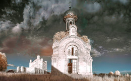 Погибаю, но не сдаюсь! / Инфракрасный фильтр. Осень. Вологодская область.