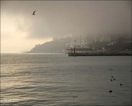 В Ялте туманный день... / Густой туман опустился на Ялту...а чуть выше в горах светило солнце и цвели подснежники...Было необычно и очень красиво ...Январь 2015