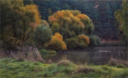 Река и осень / Природа Беларуси. Река Свислочь.