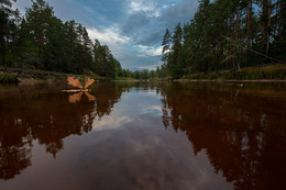 Желтый лист, плывущий по холодной воде. / Река Пра, Рязанская область.