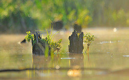 &quot;В контравом&quot; / Работа на болотах