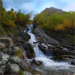 В золоте листвы / Водопад Чучхур, Тебердинский заповедник