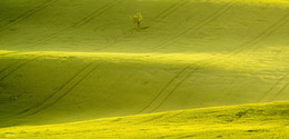 Незолотое сечение / Незолотое сечение золотого рассвета. Южная Чехия. Апрель 2015.
