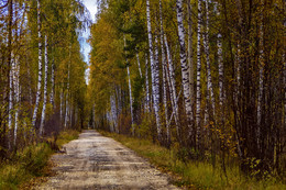 Осенняя аллея / Осенняя аллея