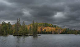 Transparent Autumn / Moriss Isl.