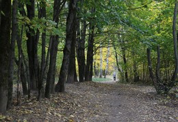 Осень... / Прогулка по осени