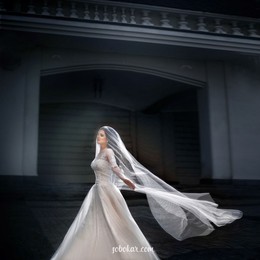 Beautiful bride / ***