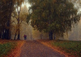 Прогулка по осени. / ***