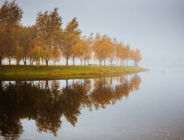 Туманное осеннее утро / Небольшое озеро в Новобелицком р-не г.Гомеля,