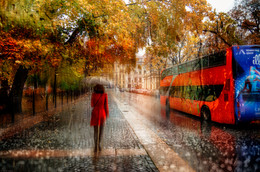 октябрьский дождь.. / Санкт-Петербург октябрь 2015 г.