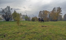 Конный патруль. / Окраина Битцевского парка, Москва.