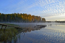 У забытой купальни... / Петербург. Осиновая Роща