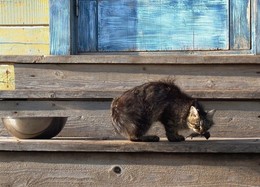 Исключение из правил / Если сделать хотя бы одно исключение из правил, дальше вами будут управлять исключения.(с)