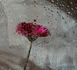 Люблю ненастье..... / Люблю я пасмурные дни.
Люблю ненастье, непогоду,
Когда туманы и дожди
Собою кутают природу.
/Терентий Травник/