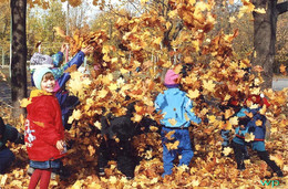 Осенний марафон / дети играют в листьях